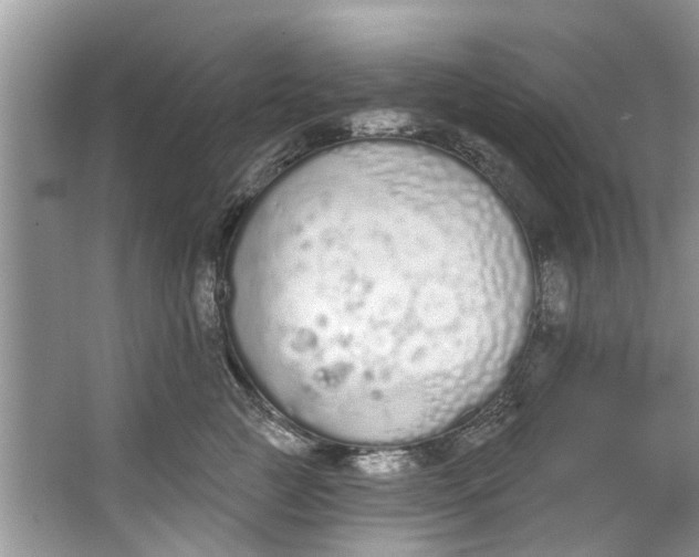 X0000064050761200602101450