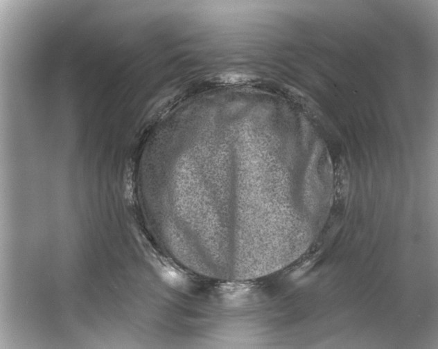 X0000064050762200602101450