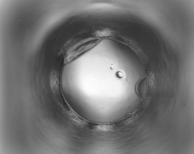 X0000064050763200602101450