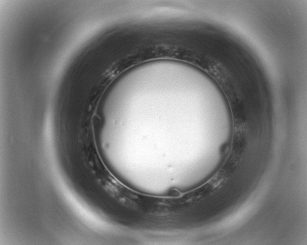 X0000064050765200602101450