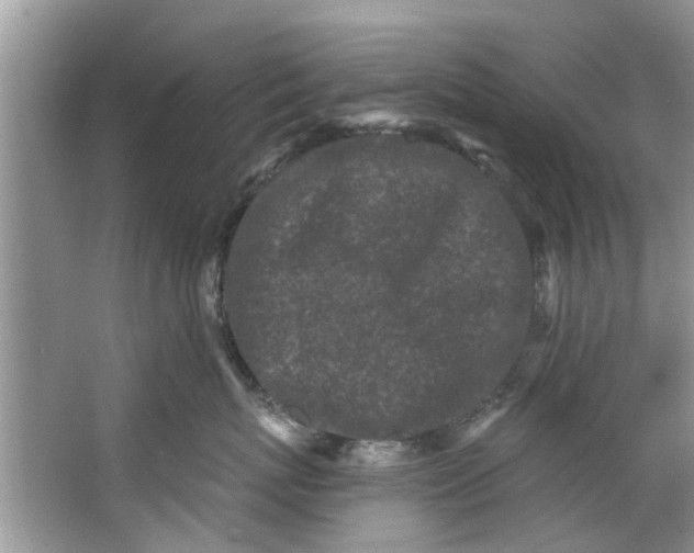 X0000064050767200602101450