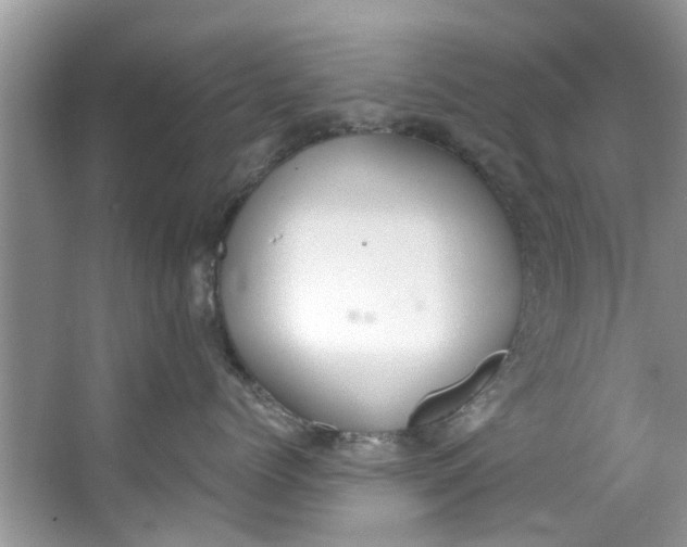 X0000064050768200602101450