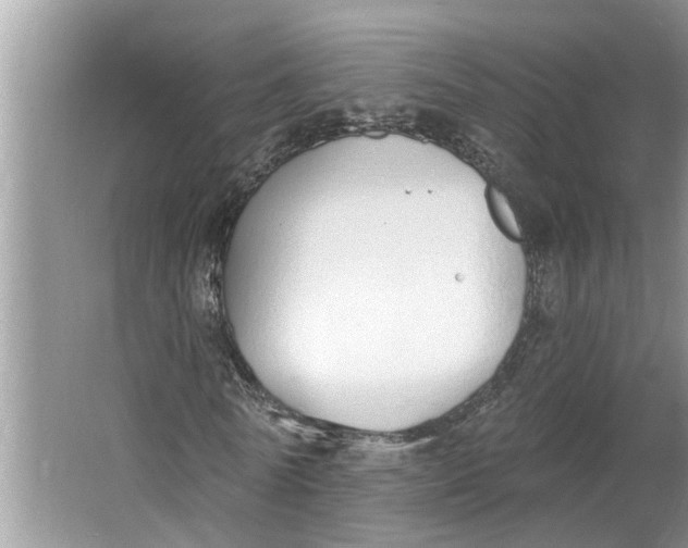 X0000064050770200602101449