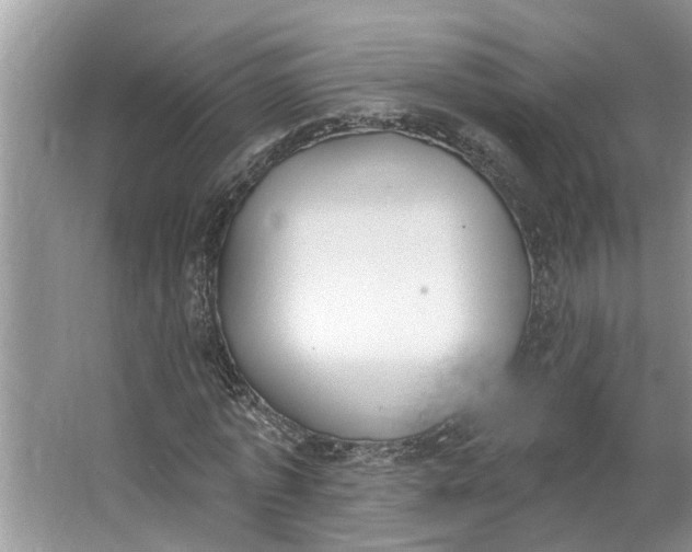 X0000064050773200602101449