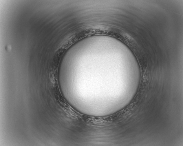 X0000064050774200602101449