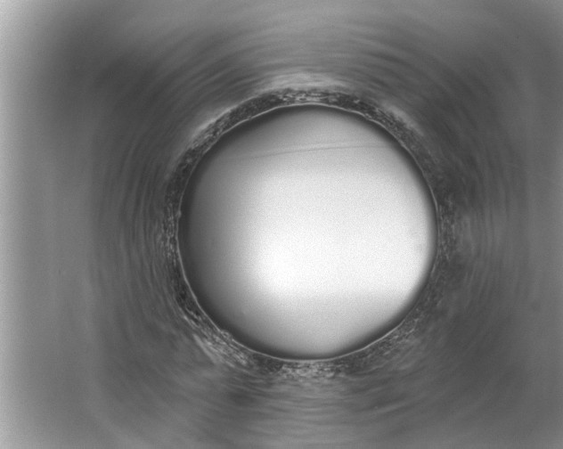 X0000064050775200602101449