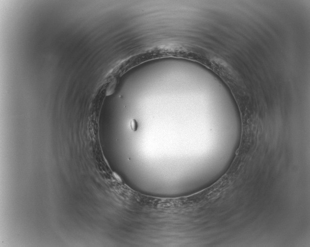 X0000064050776200602101449