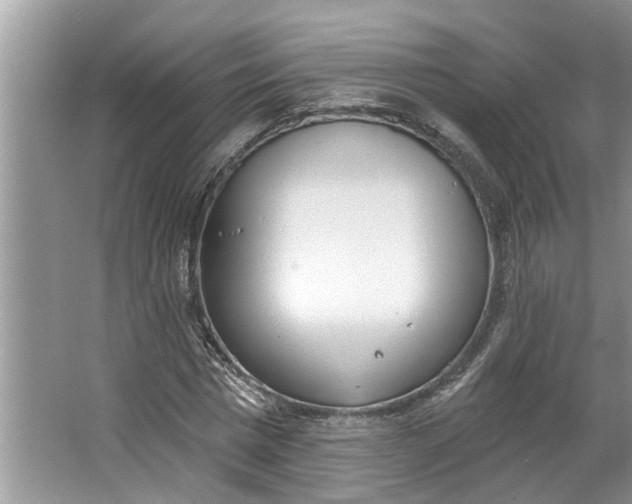 X0000064050777200602101449