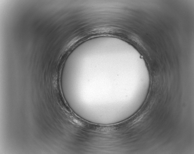 X0000064050778200602101449