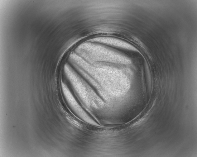 X0000064050779200602101449