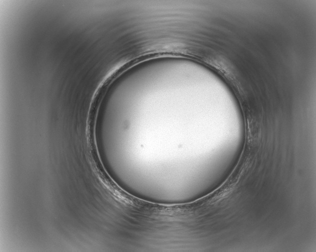 X0000064050780200602101449