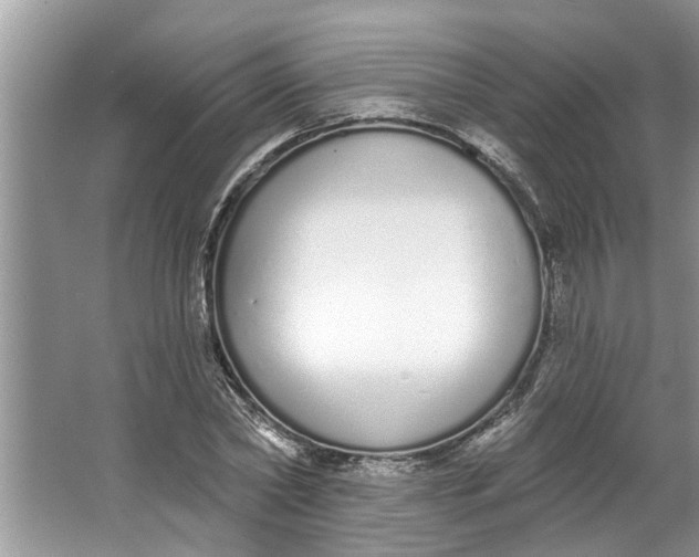 X0000064050782200602101449