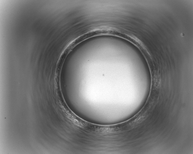 X0000064050783200602101449