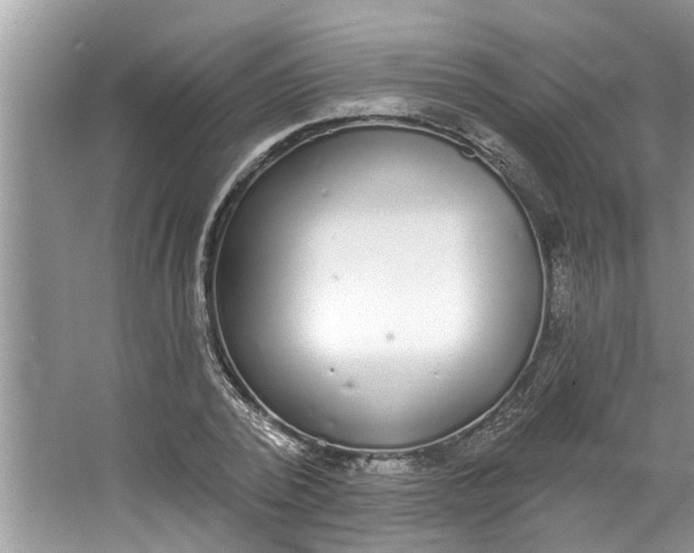 X0000064050784200602101449