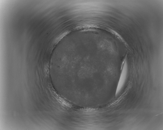 X0000064050785200602101449