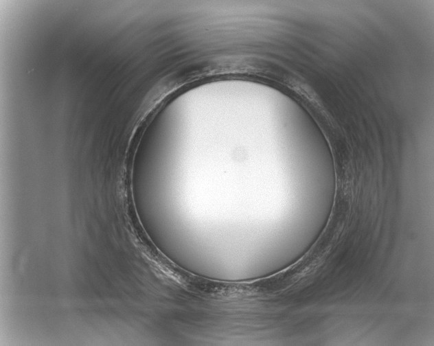 X0000064050786200602101449