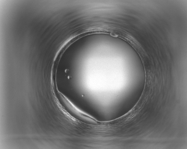 X0000064050788200602101449