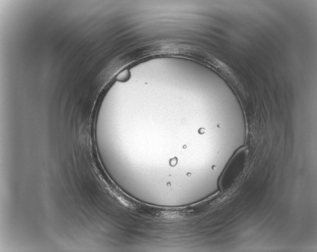 X0000064050794200602101449