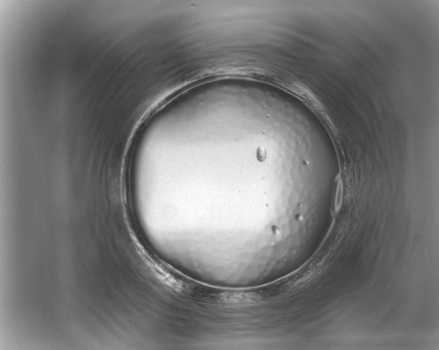 X0000064050795200602101449