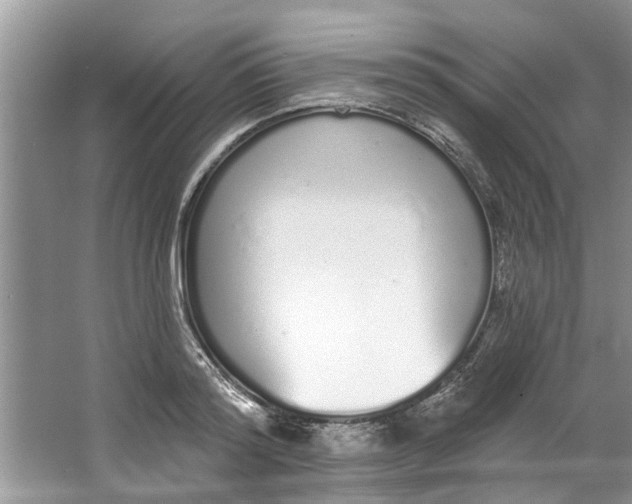 X0000064050796200602101449