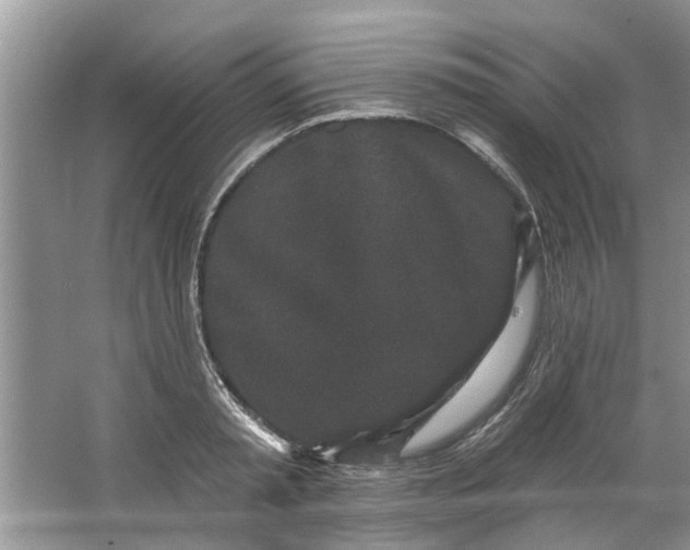 X0000064050797200602101449