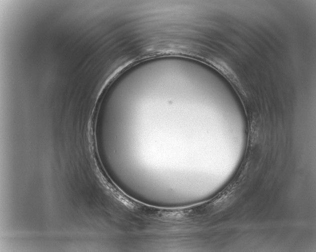 X0000064050798200602101449