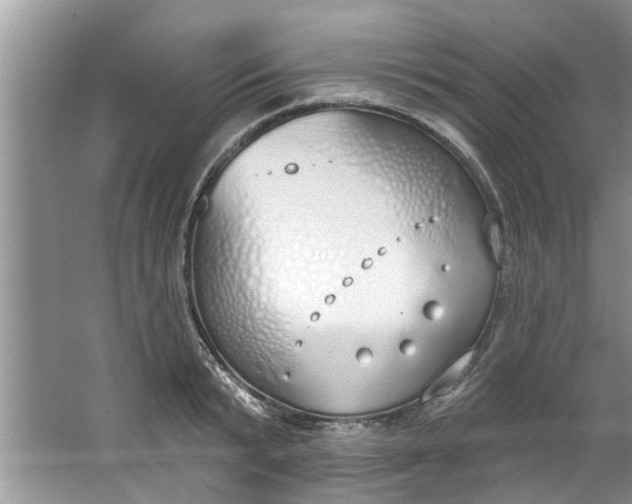 X0000064050799200602101449