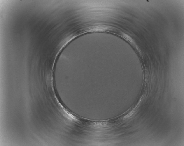 X0000064050802200602101449