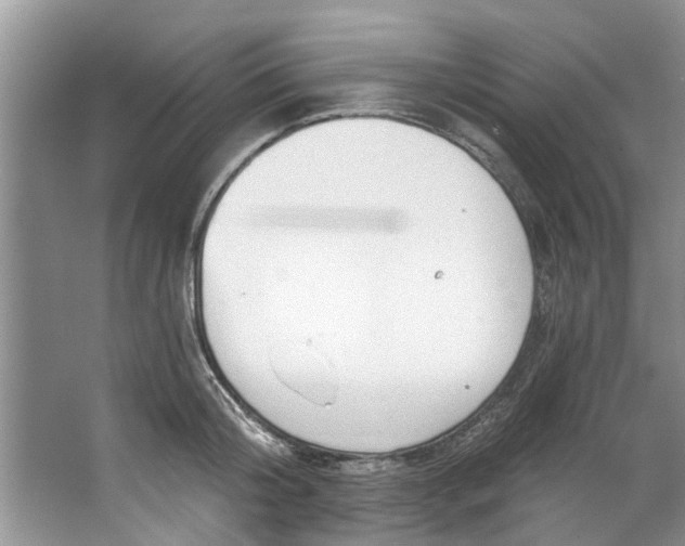 X0000064050804200602101449