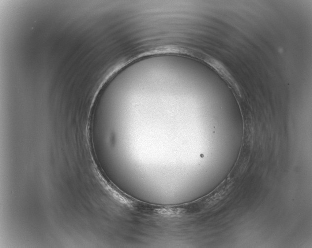 X0000064050805200602101449