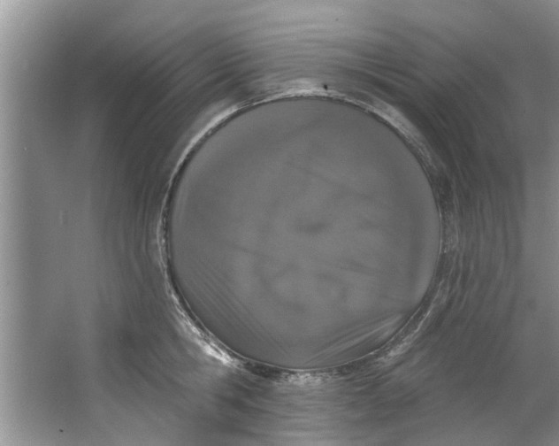 X0000064050806200602101449