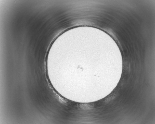 X0000064050807200602101449