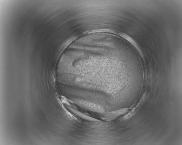 X0000064050809200602101449