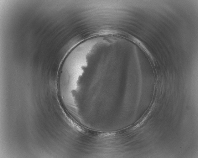 X0000064050810200602101449