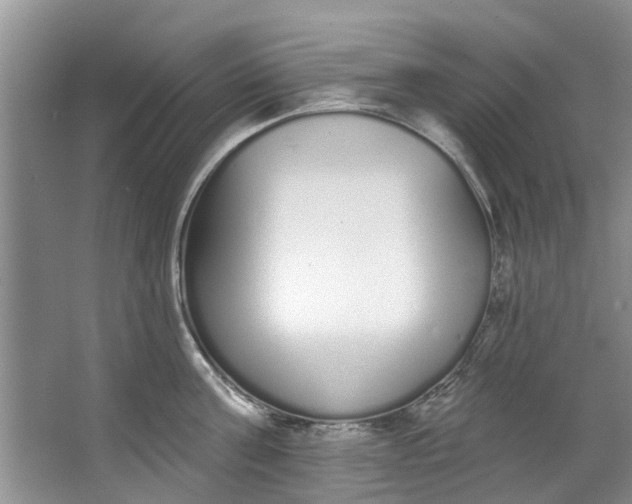 X0000064050811200602101449