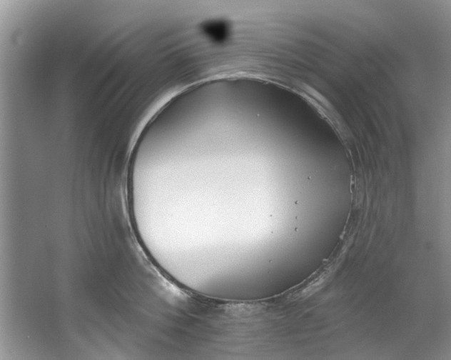 X0000064050812200602101449