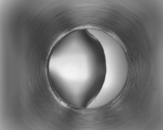 X0000064050813200602101449