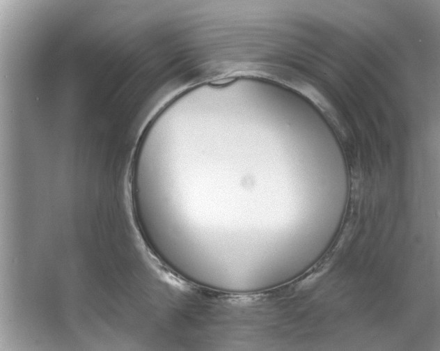 X0000064050814200602101449