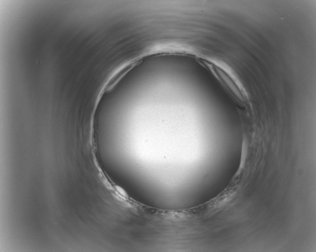 X0000064050815200602101449