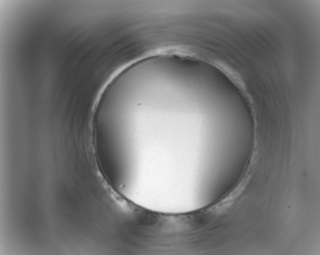 X0000064050816200602101449