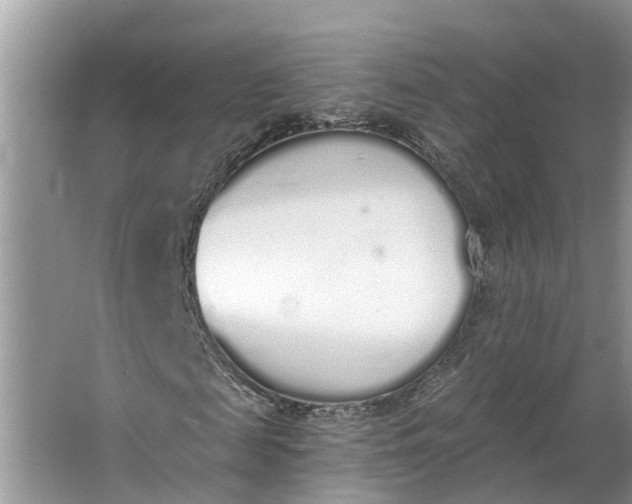 X0000064050817200602101448