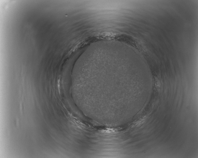 X0000064050818200602101448