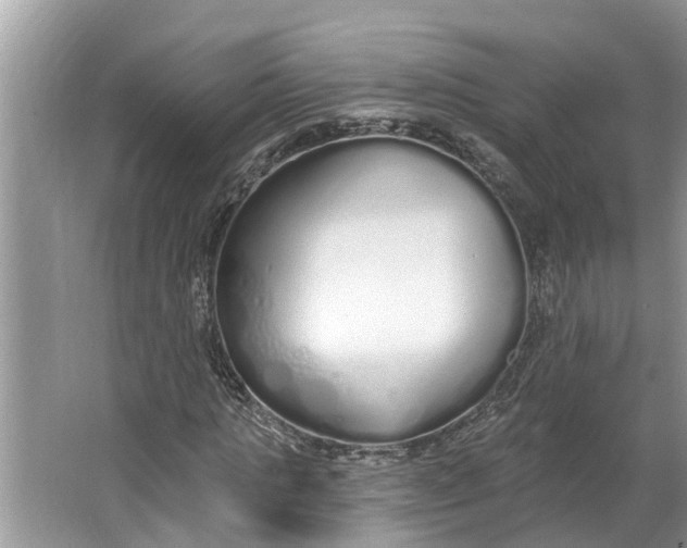 X0000064050821200602101448