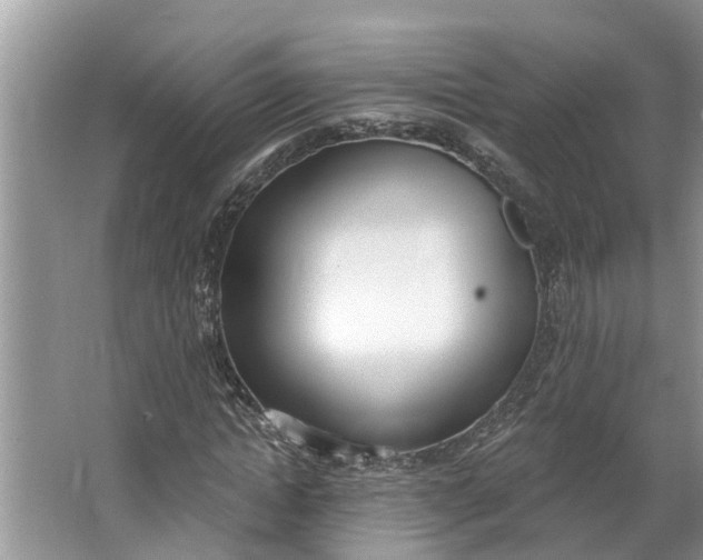 X0000064050822200602101448