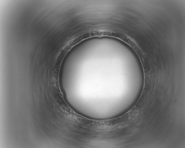 X0000064050823200602101448