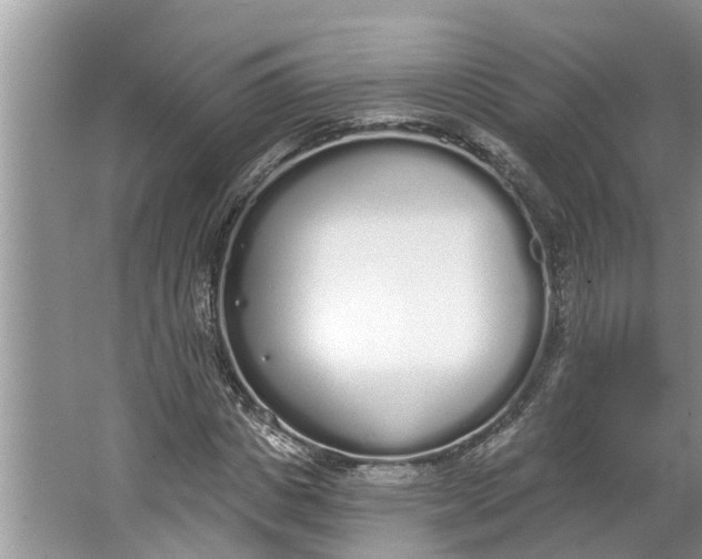 X0000064050825200602101448