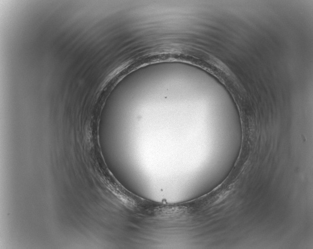 X0000064050826200602101448