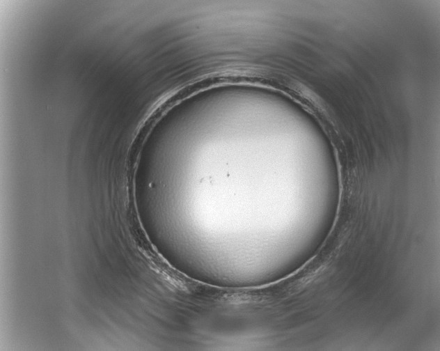 X0000064050829200602101448