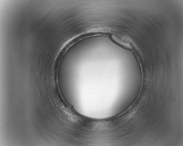 X0000064050830200602101448