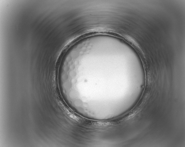 X0000064050831200602101448